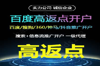 深度解析：SEM竞价优化提升ROI的案例